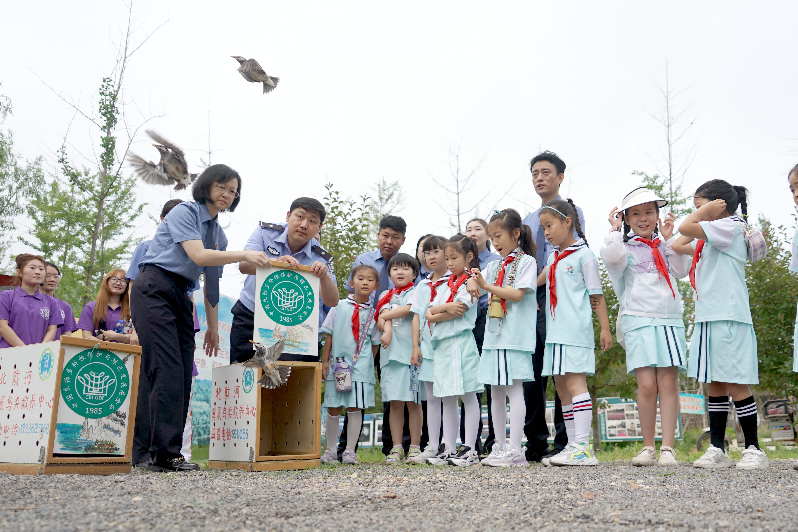 DSC03306_副本.jpg